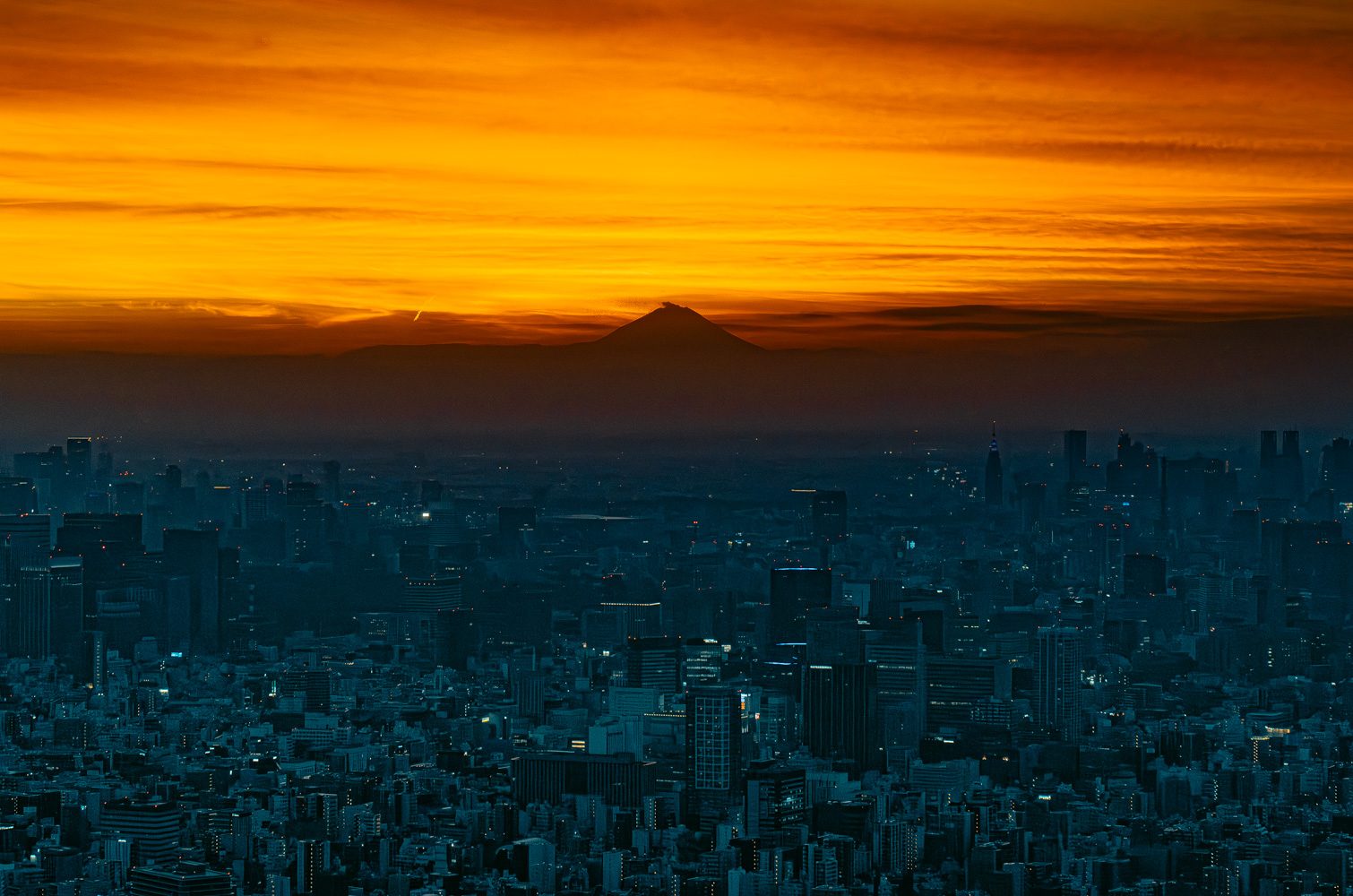 Street photography a Tokyo, Giappone