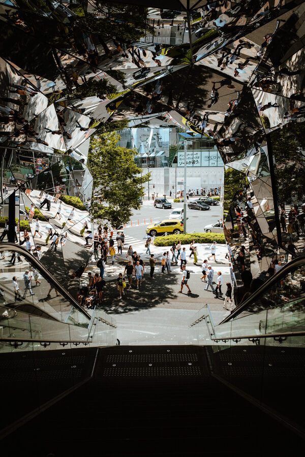 Tra i rami, street photography a Tokyo