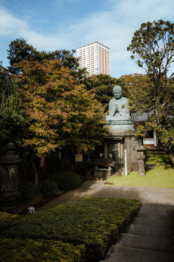 Tempio tra gli alberi, street photography a Tokyo