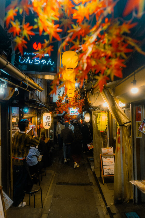 Acero e lanterne, street photography a Tokyo