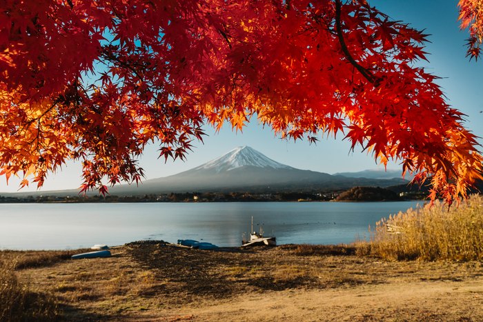 Le foglie rosse di un acero incorniciano il Monte Fuji sul lago