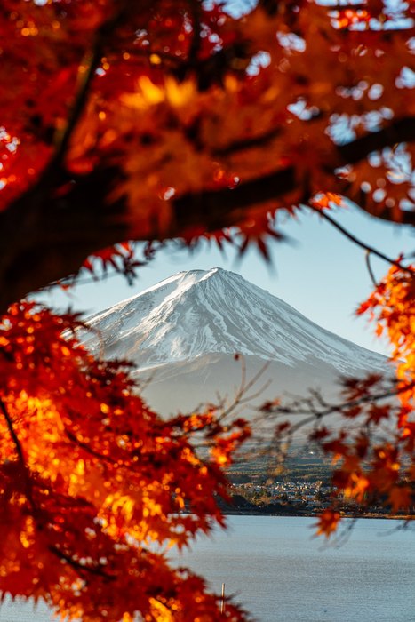 Il Monte Fuji visto attraverso le foglie rosse dell’autunno