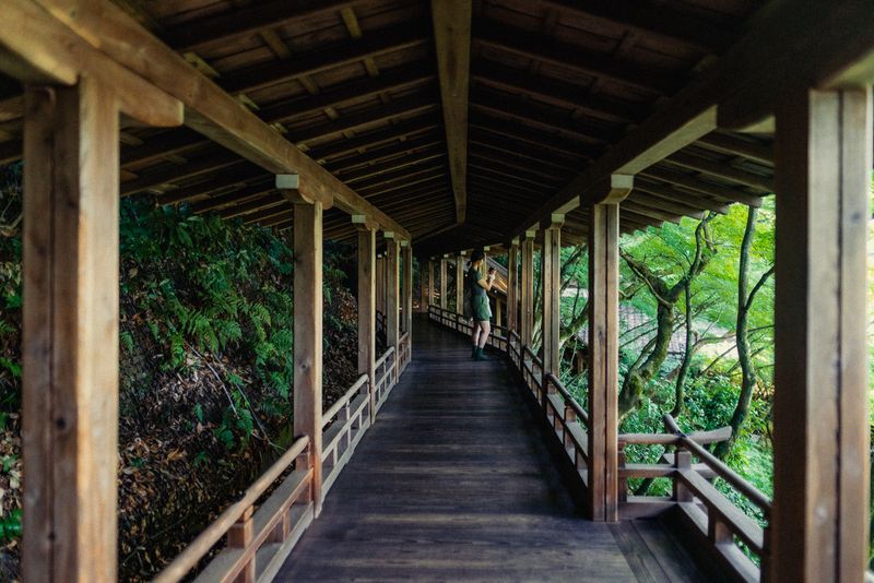 Passaggio coperto di legno che attraversa il bosco con una persona affacciata, Kyoto