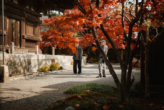Kyoto cortile tempio acero rosso, fotografia di viaggio e street photography in Giappone