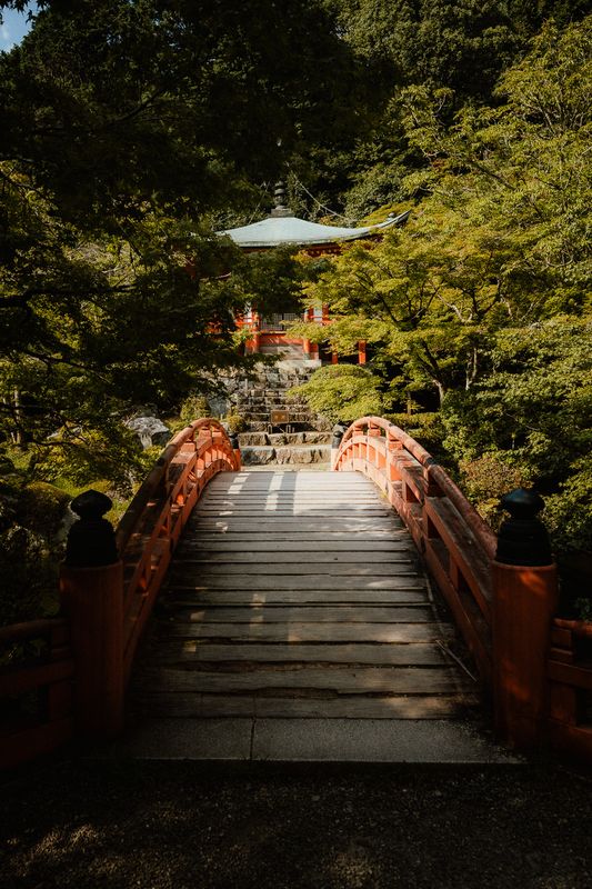 Ponte di legno rosso arcuato che porta a un padiglione nel bosco, Daigo-ji, Kyoto