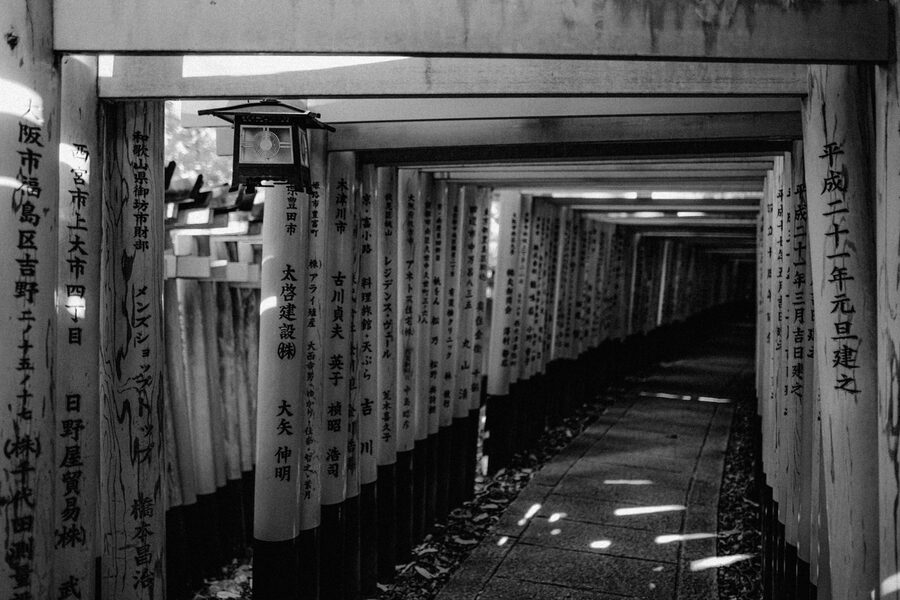 Sentiero sotto i torii di Fushimi Inari in bianco e nero, Kyoto