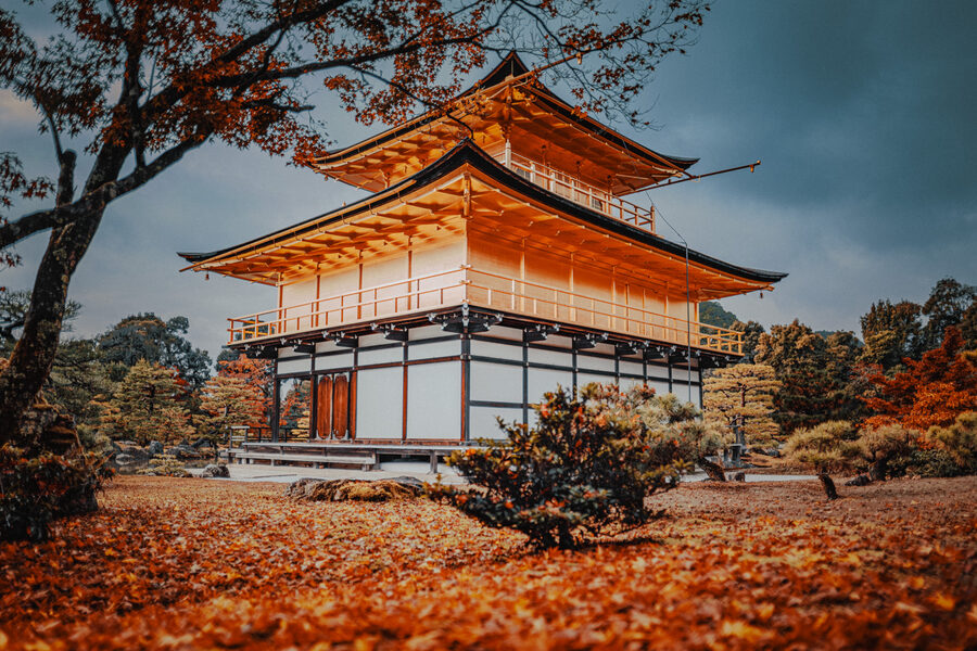 Veduta laterale del Kinkaku-ji tra gli alberi autunnali, Kyoto
