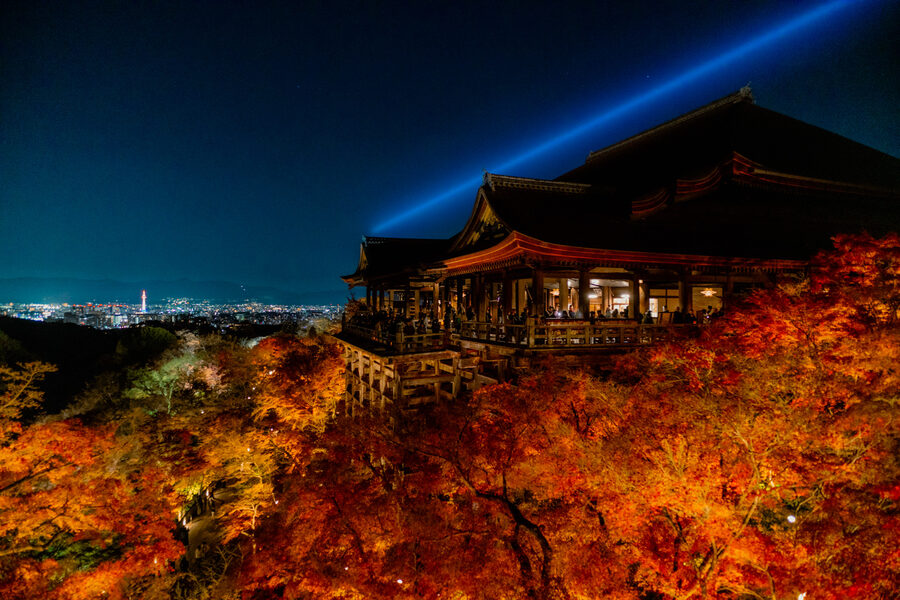 Kiyomizu-dera illuminato sopra gli aceri nella notte, Kyoto