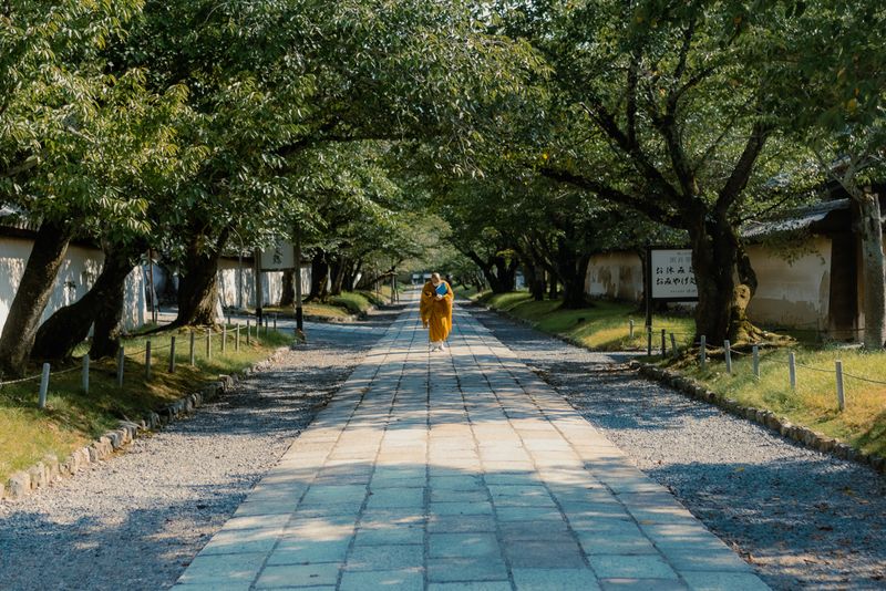 Un monaco in abito arancione cammina lungo un viale alberato di pietra, Kyoto