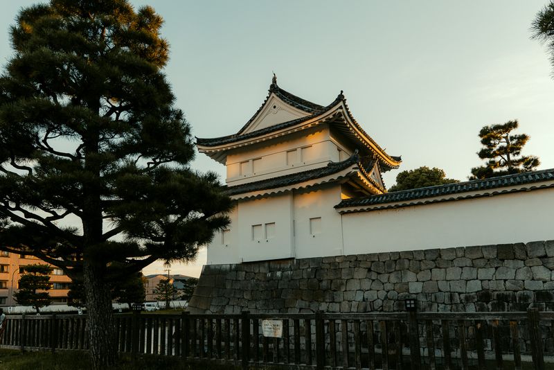 La torretta d'angolo del castello Nijō dietro un pino al tramonto, Kyoto
