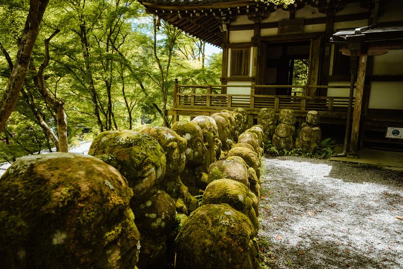 File di statue rakan di pietra ricoperte di muschio lungo la veranda del tempio Otagi Nenbutsu-ji, Kyoto