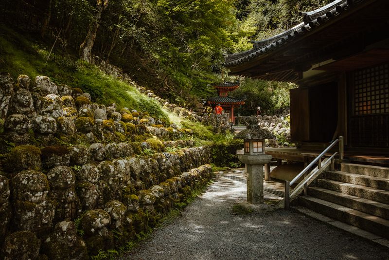 Sentiero tra il muro di statue rakan e la sala del tempio con una lanterna di pietra, Otagi Nenbutsu-ji, Kyoto