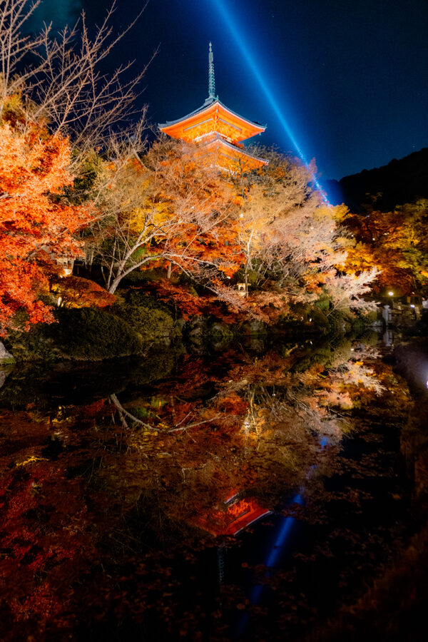 Pagoda illuminata tra le foglie autunnali, Kyoto
