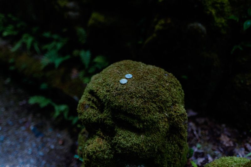 Due monete in equilibrio sulla testa muschiata di una statua rakan, Otagi Nenbutsu-ji, Kyoto