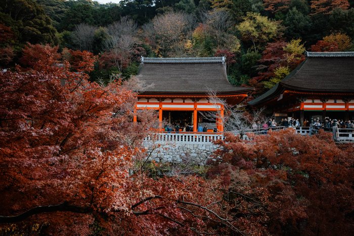 Kyoto santuario aceri rossi, fotografia di viaggio e street photography in Giappone