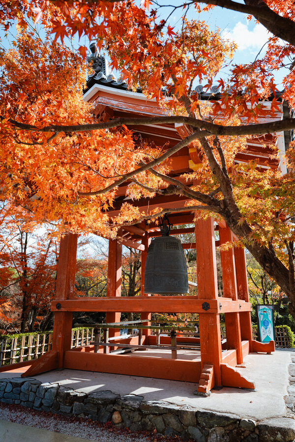 Portale vermiglio di un santuario tra le foglie d’autunno, Kyoto