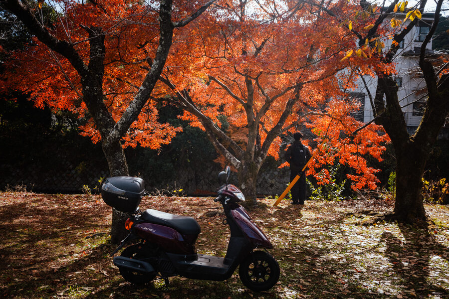 Scooter parcheggiato sotto gli aceri rossi, Kyoto
