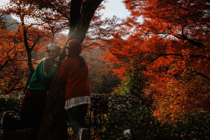 Kyoto sentiero aceri controluce, fotografia di viaggio e street photography in Giappone