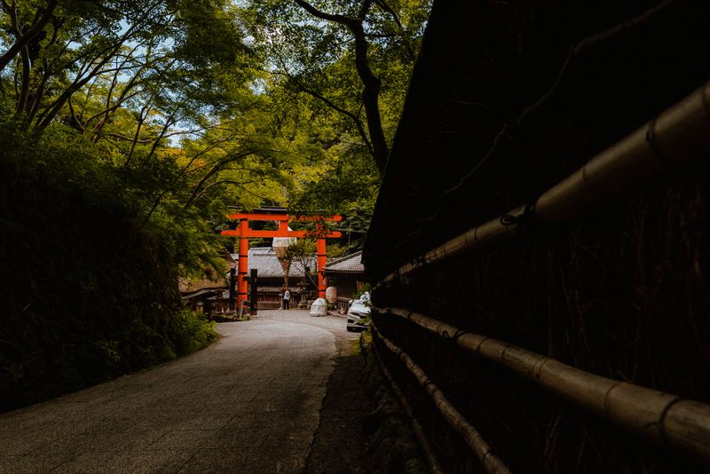 Sentiero che conduce a un torii rosso intravisto tra gli alberi, area di Sagano, Kyoto