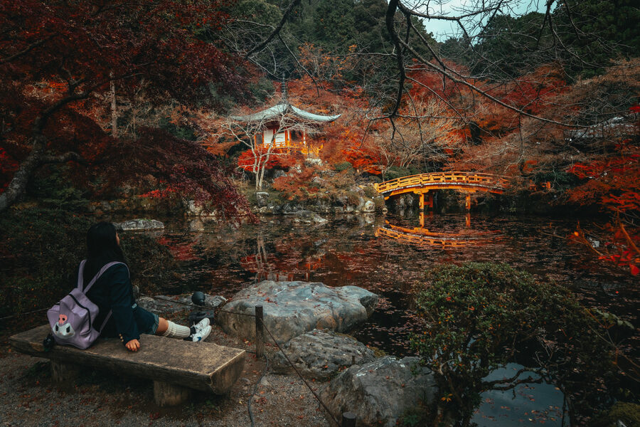 Tempio tra gli aceri autunnali riflesso in uno stagno, Kyoto