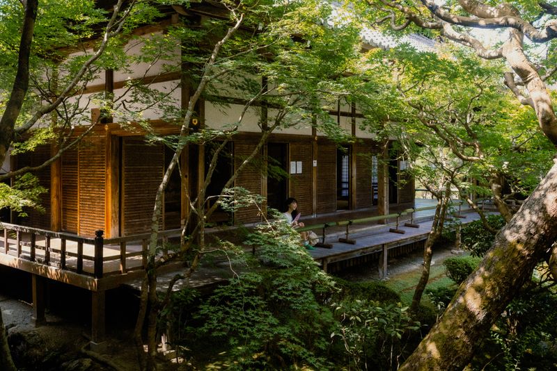 Donna seduta sulla veranda di un tempio tra gli aceri verdi del giardino, Kyoto