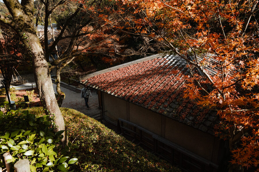 Tetto di un tempio immerso nei colori autunnali, Kyoto