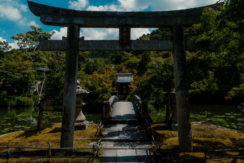 Torii di pietra e ponte curvo su uno stagno di ninfee verso un piccolo santuario, Kyoto