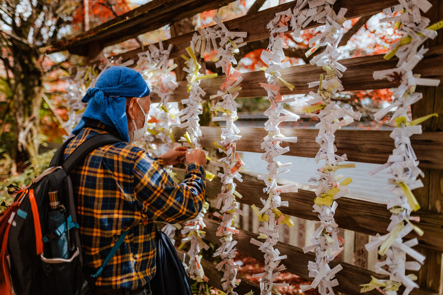 Visitatore lega un omikuji tra centinaia di fogli votivi, Miyajima