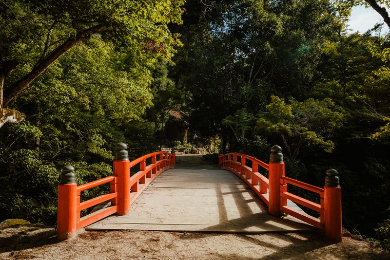 Ponte laccato di rosso nel bosco che porta al santuario, luce del mattino, Miyajima