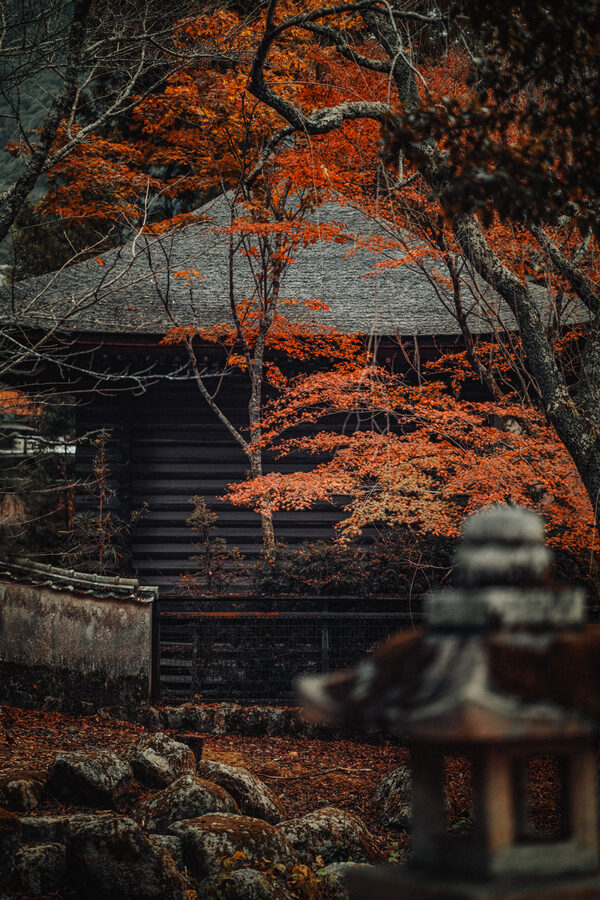 Tempio immerso tra gli aceri rossi, Miyajima