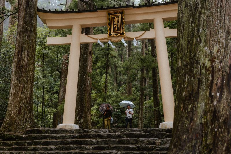 Due visitatori con l'ombrello scendono i gradini sotto il torii del santuario Hirō, tra i cedri secolari, Nachi