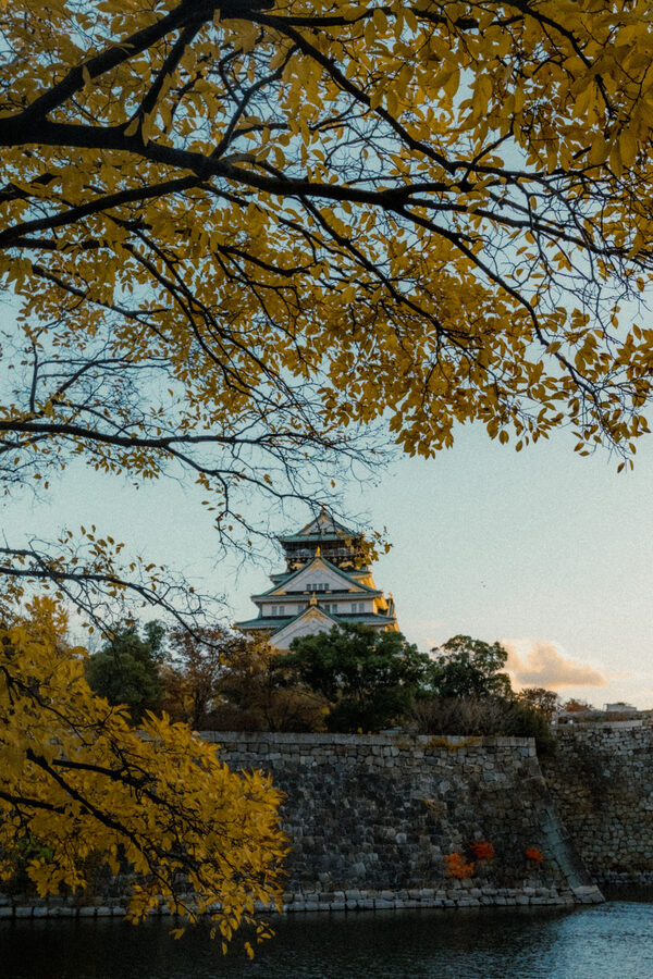 Il castello di Osaka incorniciato dalle foglie autunnali
