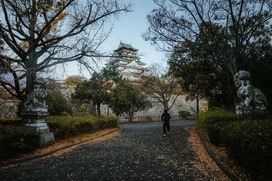 Castello di Osaka visto da un viale alberato