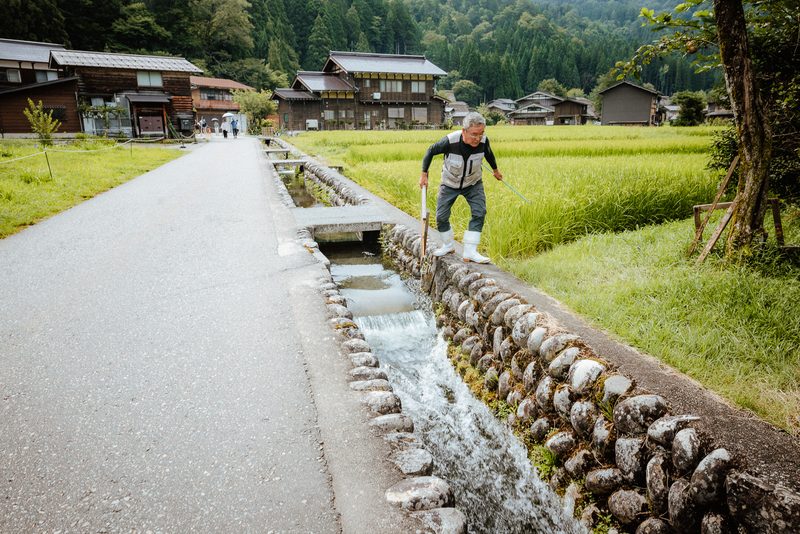 Anziano attraversa un canale d'irrigazione lungo le risaie del villaggio, Shirakawa-gō