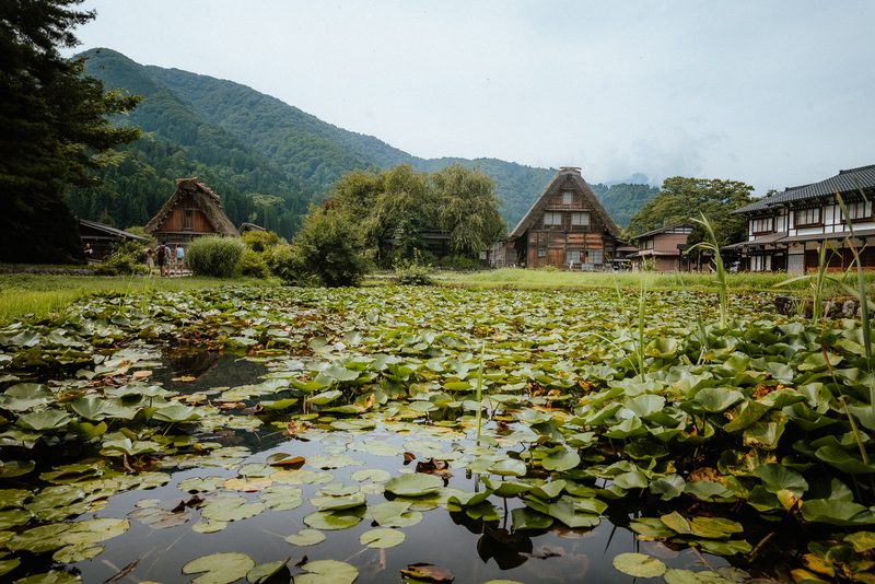 Case gasshō riflesse oltre uno stagno di ninfee, Shirakawa-gō