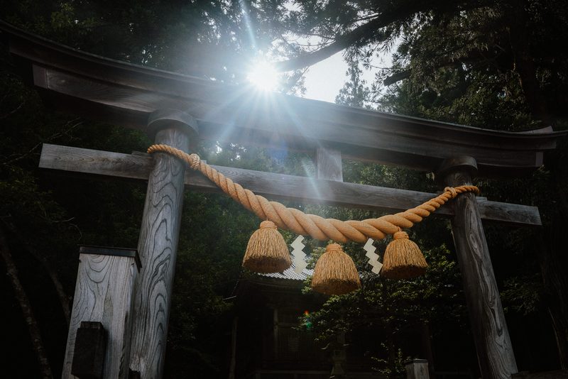 Torii di legno in controluce nel bosco di un santuario, regione di Hida, Shirakawa-gō
