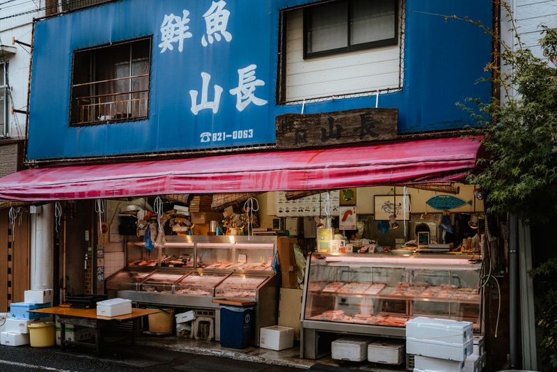 Tokyo, Giappone