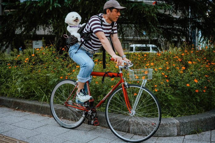 Tokyo biciclette cantiere, fotografia di viaggio e street photography in Giappone