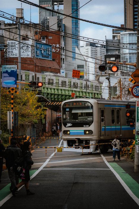 Tokyo caffe gatto finestra, fotografia di viaggio e street photography in Giappone