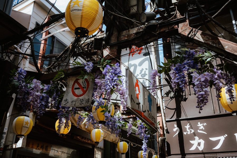 Lanterne di carta gialle e grappoli di glicine tra i cavi e le insegne, visti dal basso, Omoide Yokochō, Tokyo