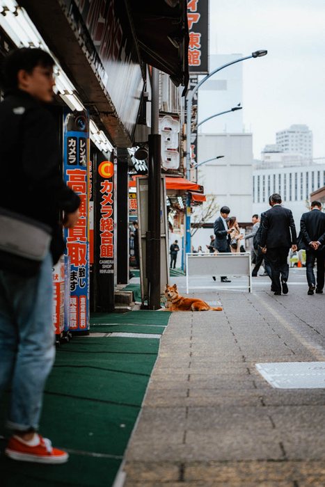 Tokyo sottopassaggio stazione, fotografia di viaggio e street photography in Giappone