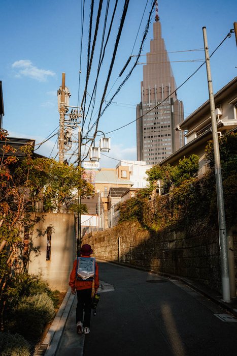 Tokyo tempio ginkgo treno, fotografia di viaggio e street photography in Giappone