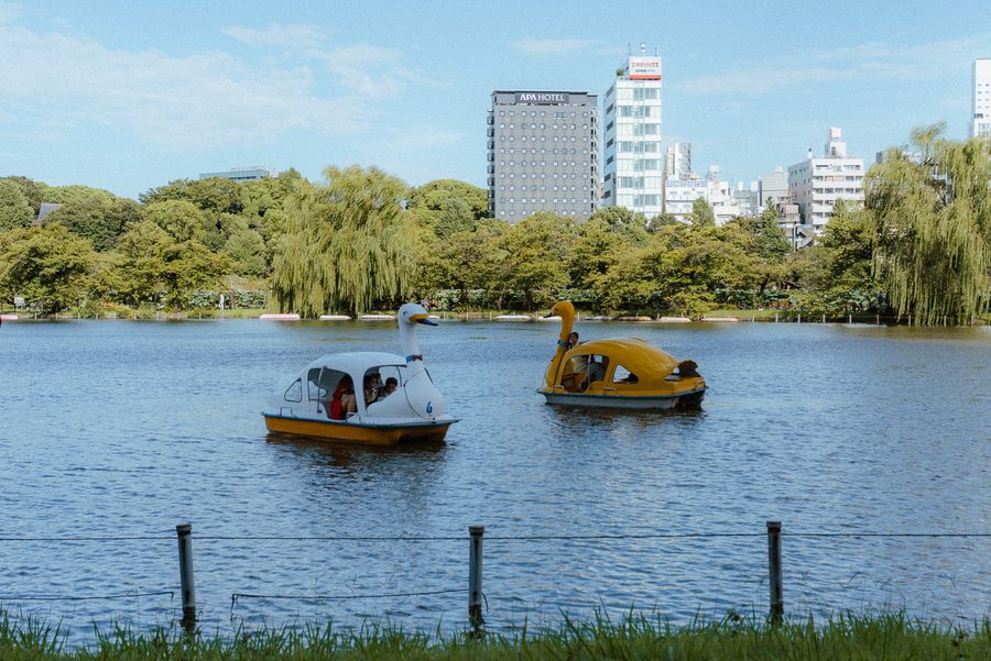 Due pedalò a forma di cigno sullo stagno Shinobazu con i palazzi della città sullo sfondo, Ueno, Tokyo