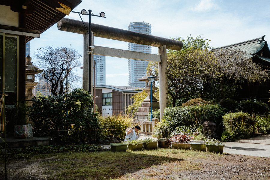 Torii di pietra nel recinto di un santuario con i grattacieli residenziali sullo sfondo, Ueno, Tokyo