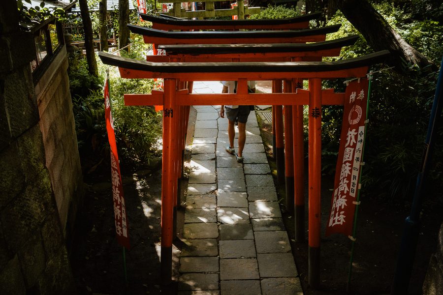 Sentiero di pietra sotto una fila di torii rossi tra gli stendardi di un santuario, parco di Ueno, Tokyo
