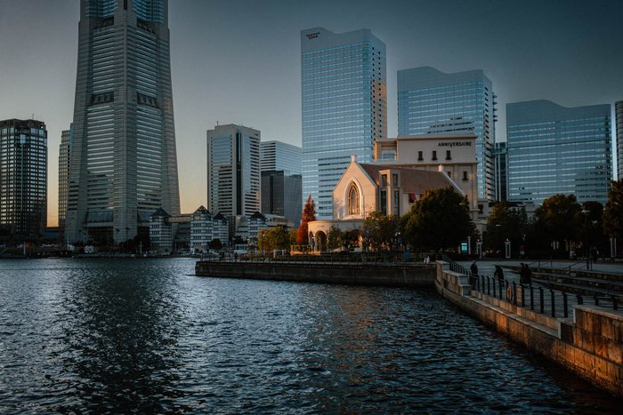 Yokohama alberi controluce parco 2, fotografia di viaggio e street photography in Giappone